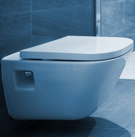Sanitary ceramics & shower toilets 